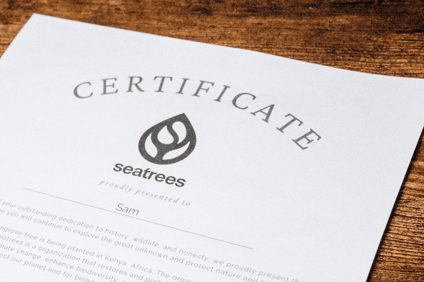 Pirate Legends: The Quest for Truth