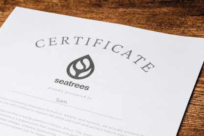 Pirate Legends: The Quest for Truth